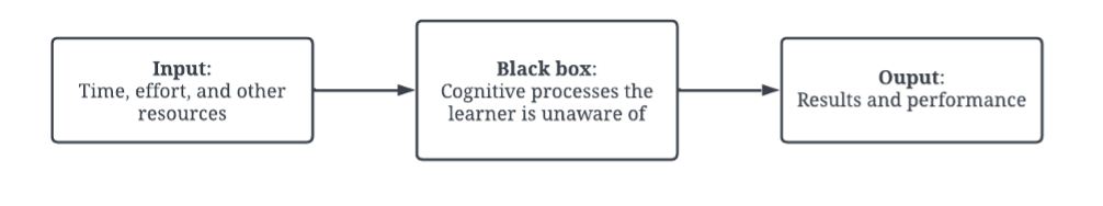 Input enters the black box (cognitive processes that the learner is unaware of), which translates to output (results and performance)